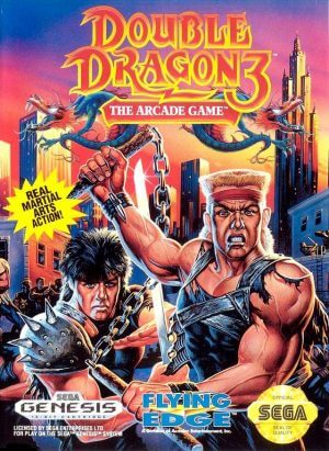 Double Dragon 3 – The Arcade Game